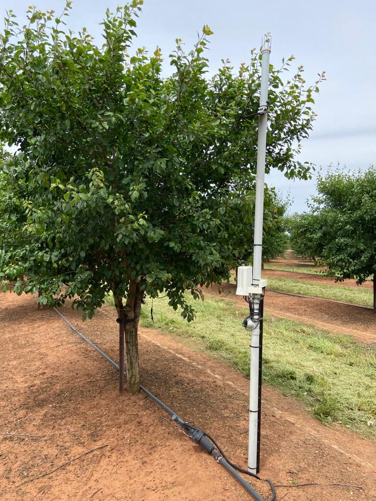 Cellular Telemetry Hub